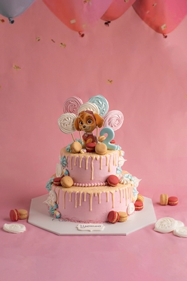 Детска Торта Скай от Пес Патрул - Двуетажна - D69