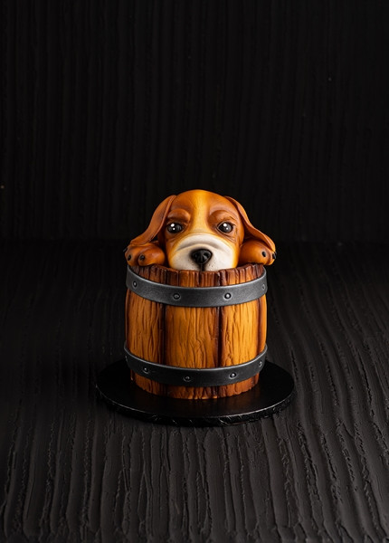 Куче в Буре - Т11