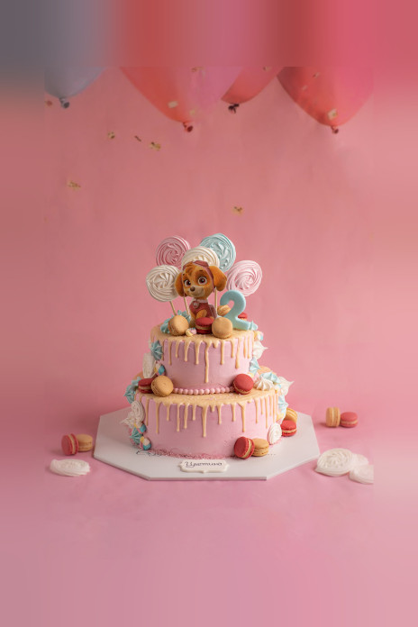 Детска Торта Скай от Пес Патрул - Двуетажна - D69